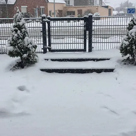 Hasen וורפסוודה