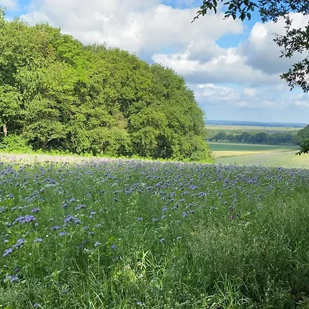 Hasen דירה וורפסוודה